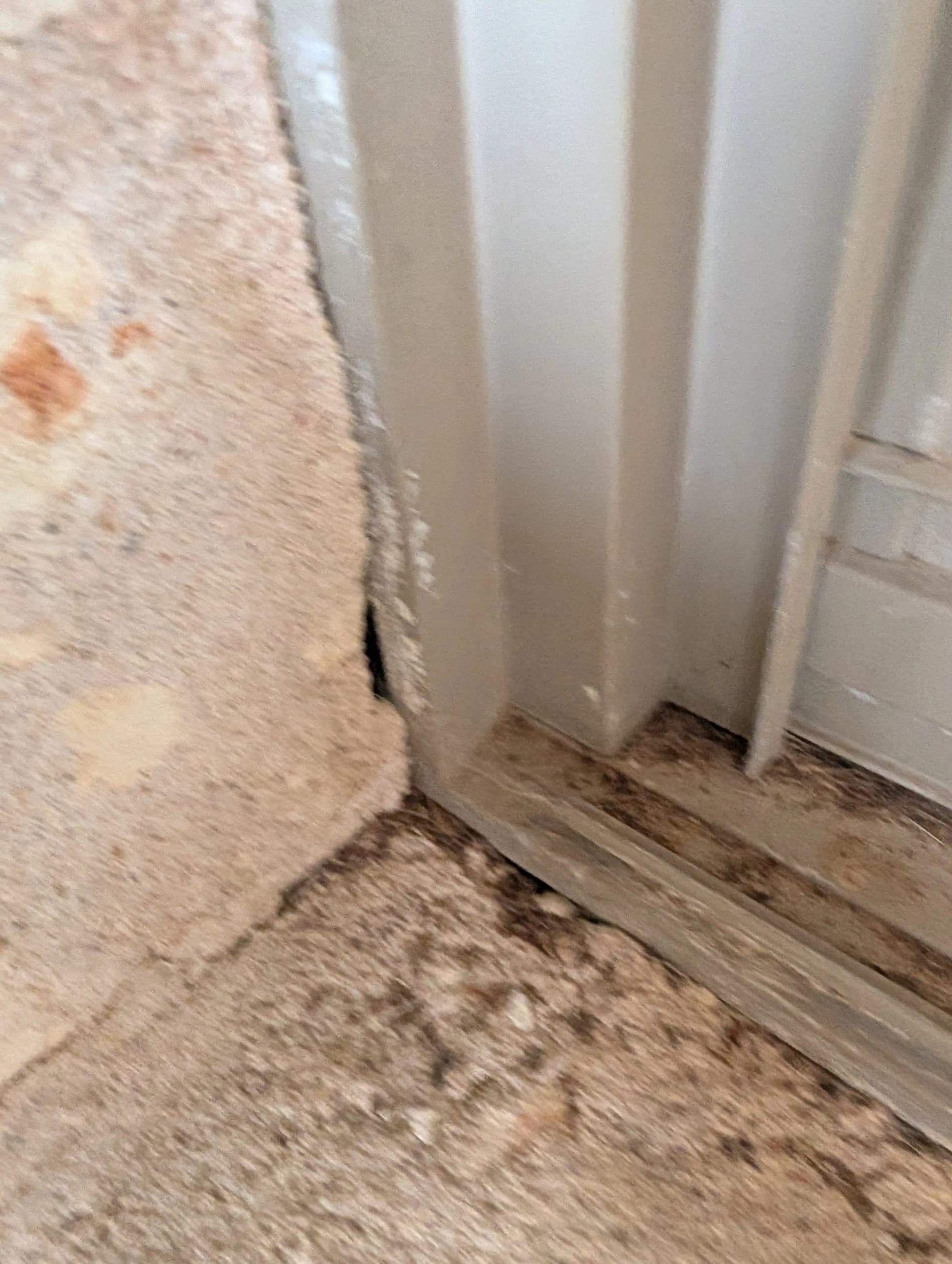 Gallery photos for Honest A/C Repair and Replacement Done Right by Capitol Air: Image #1
