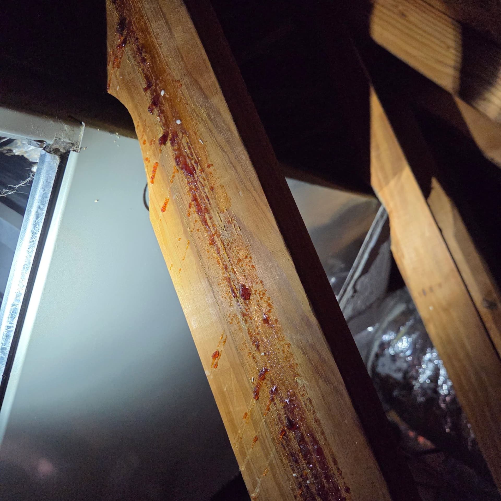 Spotting and Fixing HVAC Issues Before They Escalate image