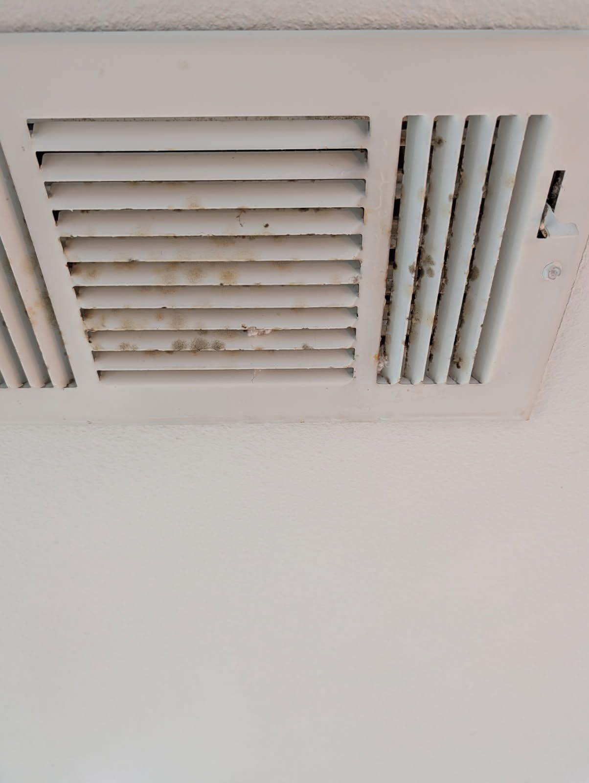 Project Don't Let Dirty Vents Compromise Your Home's Air Quality image