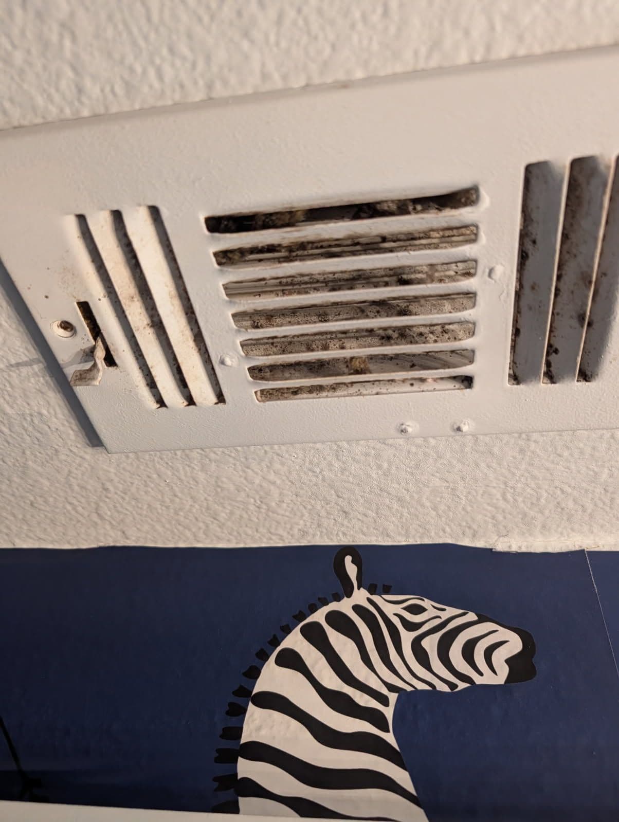 Gallery photos for Don't Let Dirty Vents Compromise Your Home's Air Quality: Image #1