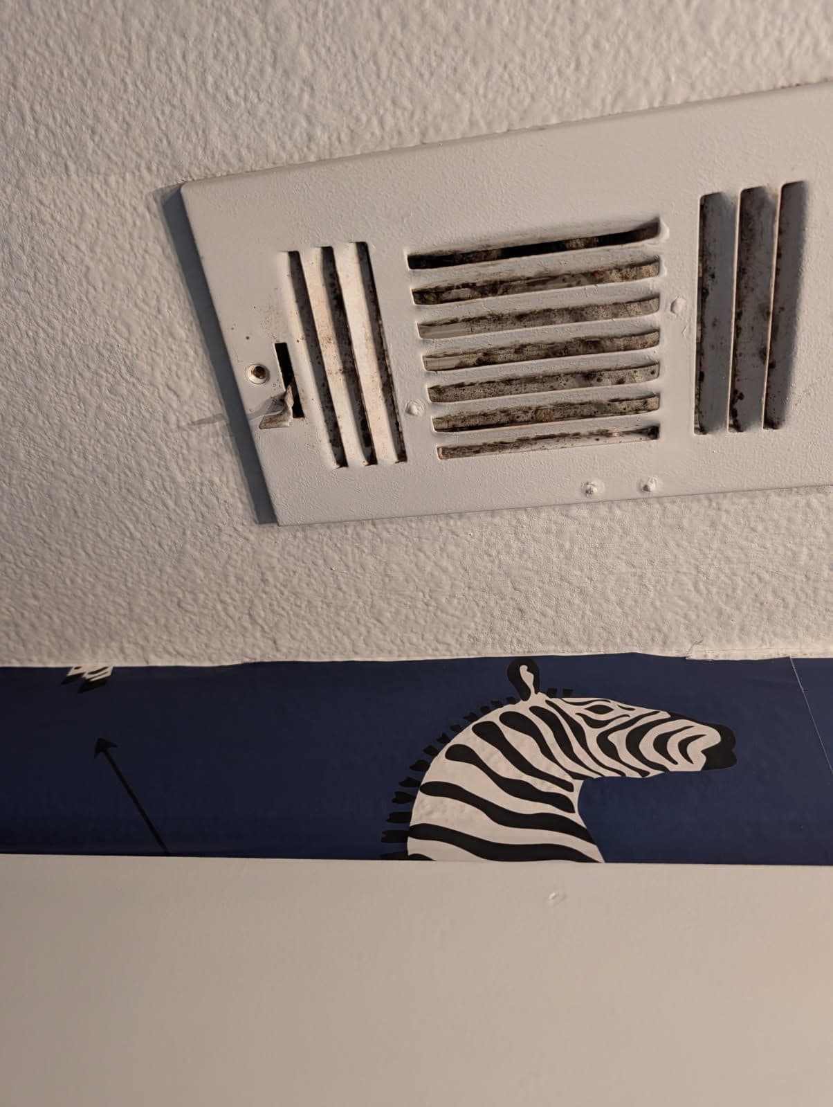 Gallery photos for Don't Let Dirty Vents Compromise Your Home's Air Quality: Image #2
